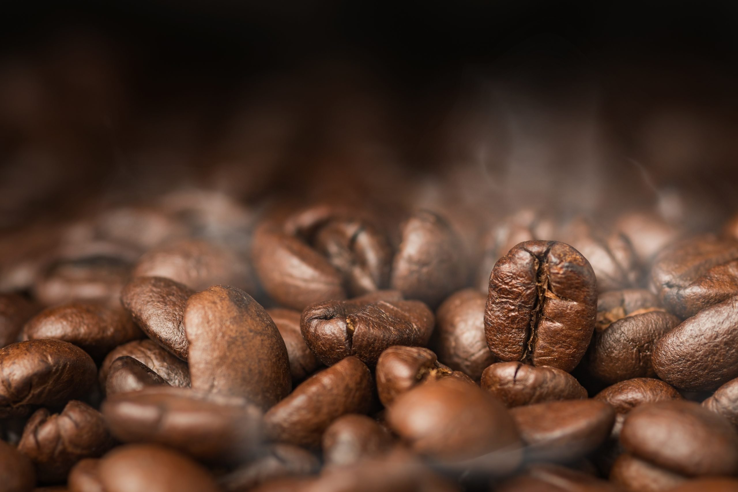 AdobeStock_225543719-scaled.jpeg