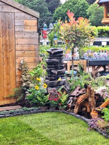 Thetford Garden Centre | garden display