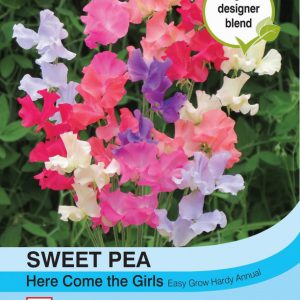 20 Seeds Flower Thompson & Morgan Sweet Pea Purple Pimpernel