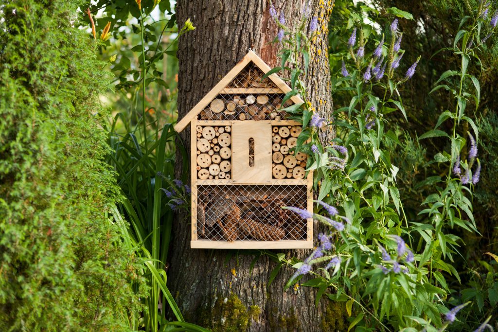 Insect house in the garden, protection for insects, insekt hotel