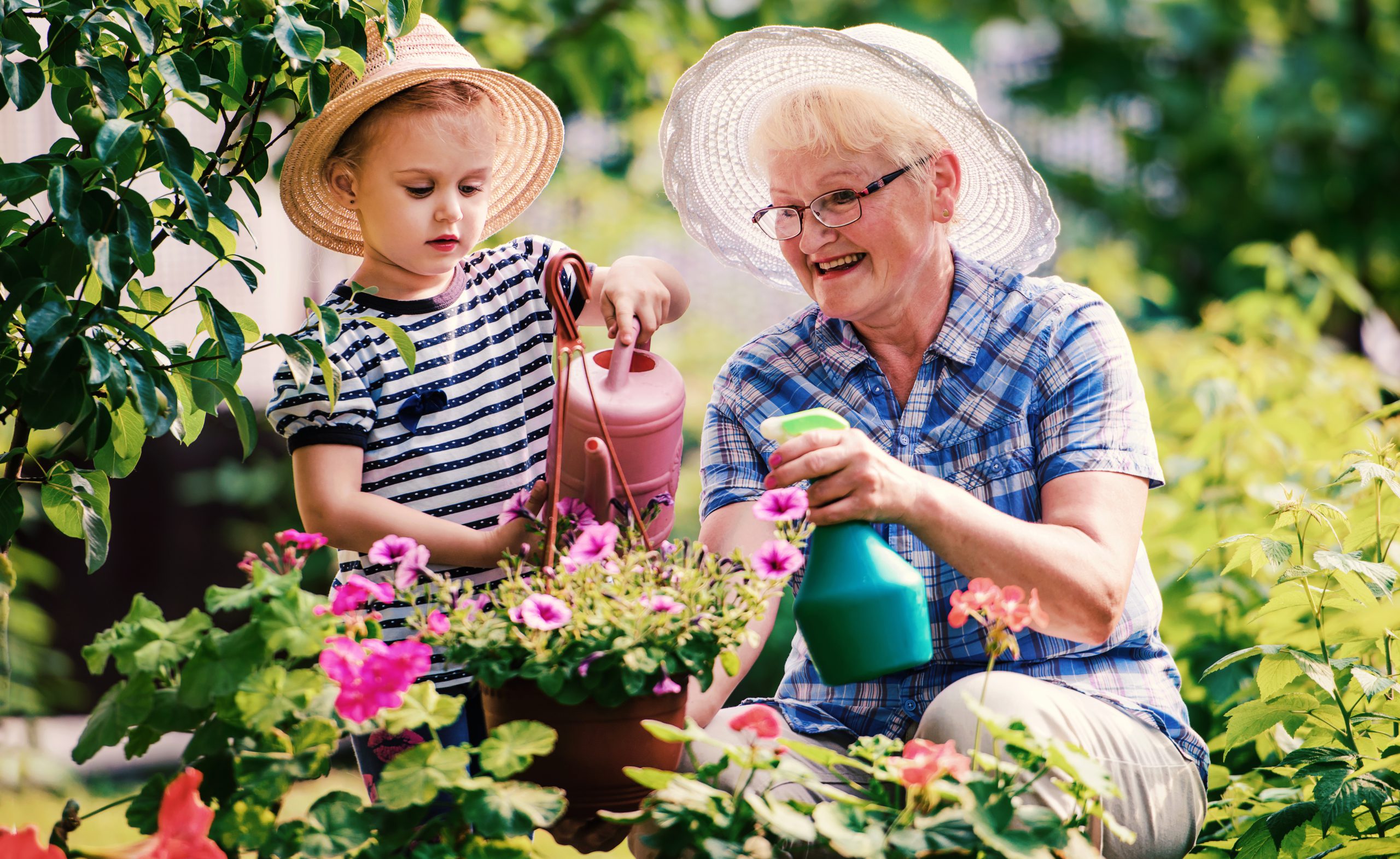 Gardening with kids. Senior woman and her grandchild working in the garden with a plants. Hobbies and leisure, lifestyle, family life