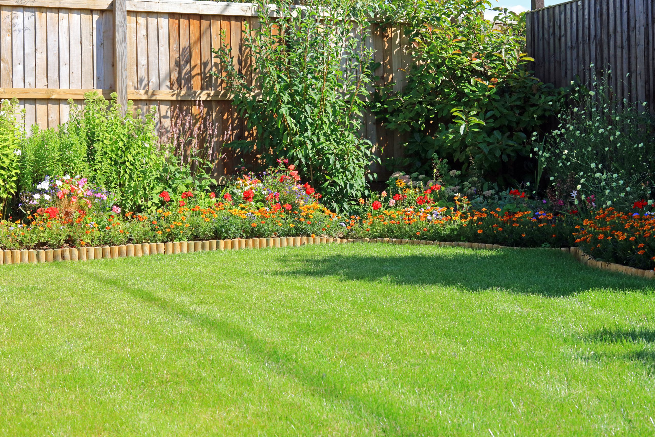 Summer Flower Borders Surrounding A Grass Lawn In An Enclosed Ho