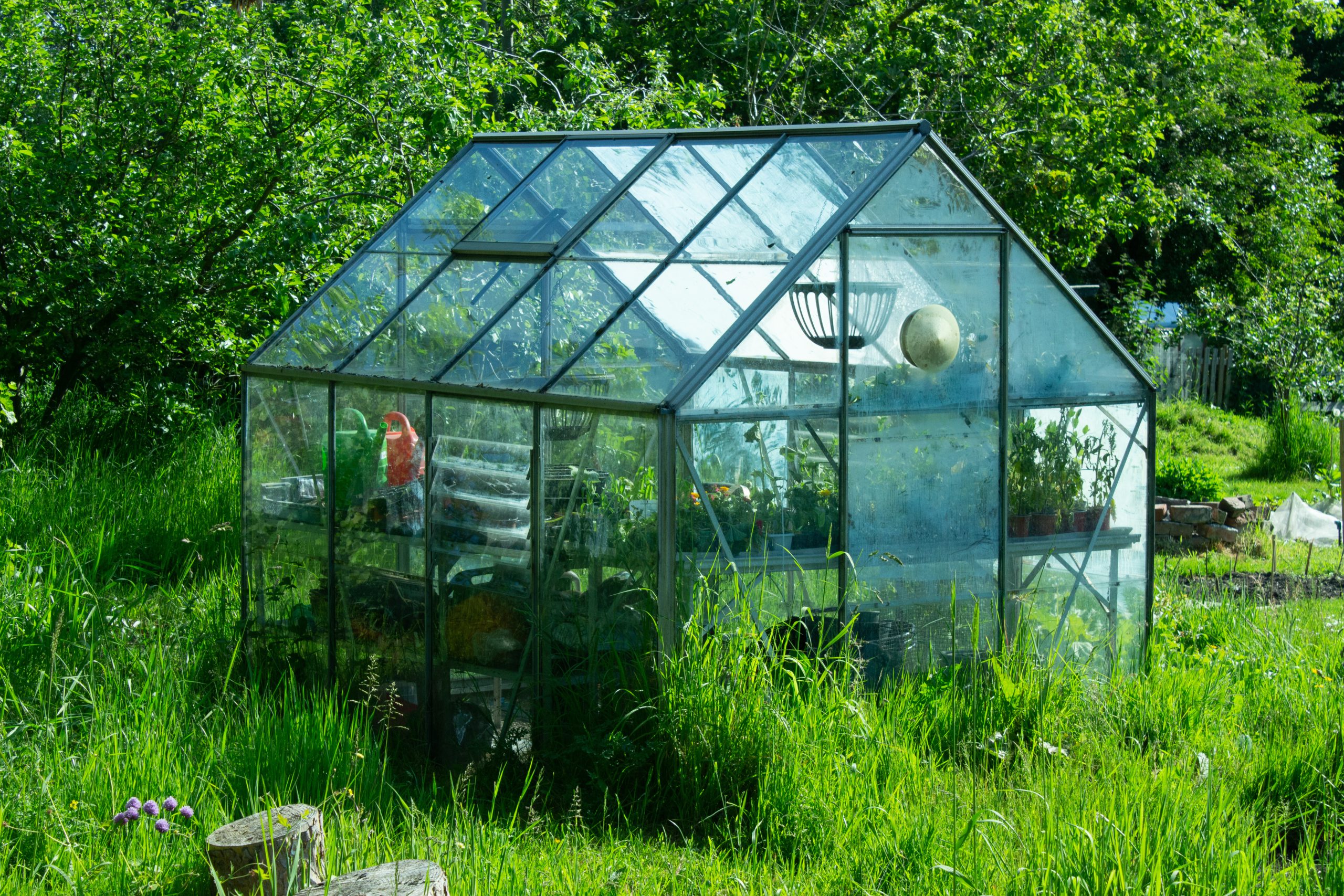 A glass greenhouse on an allotment in York, UK.