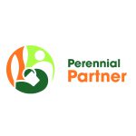 Perennial