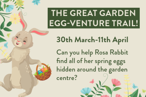 The great garden egg-venture trail
