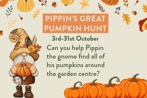 Pippins great pumpkin hunt