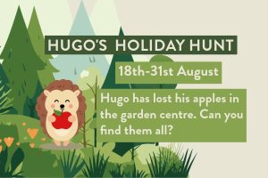 Hugo's holiday hunt