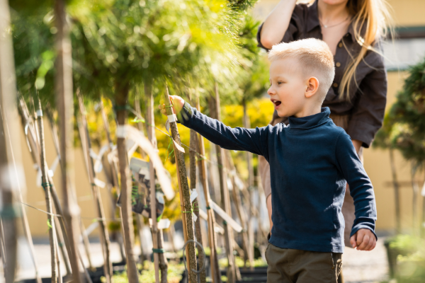 Young boy looking at tree