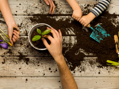 Planting flowers