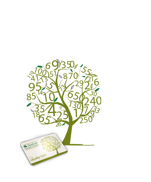 loyalty-tree2